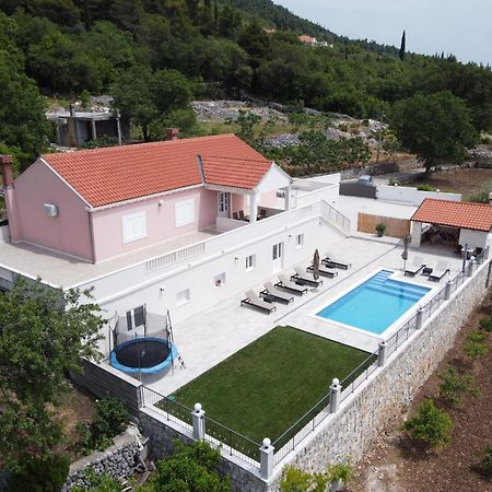 Villa Dragic Pridvorje Εξωτερικό φωτογραφία